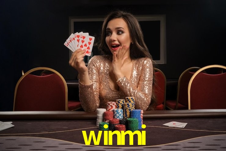 PIX Instantâneo winmi